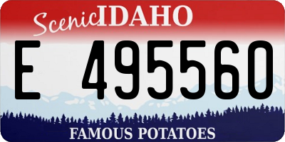 ID license plate E495560