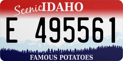 ID license plate E495561