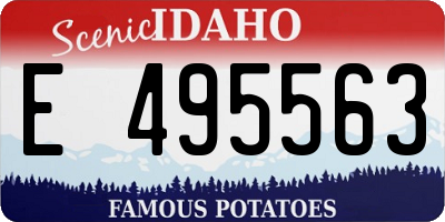 ID license plate E495563