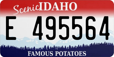 ID license plate E495564