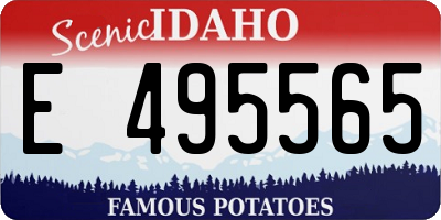 ID license plate E495565