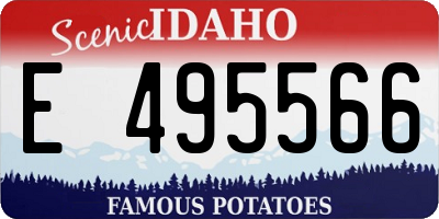 ID license plate E495566