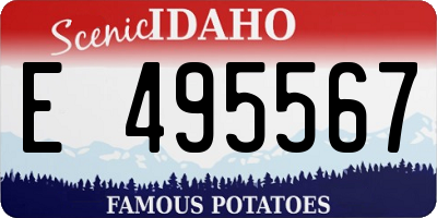 ID license plate E495567