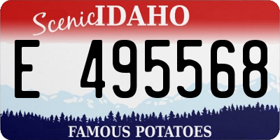 ID license plate E495568