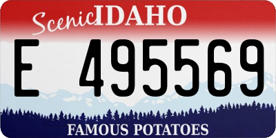 ID license plate E495569