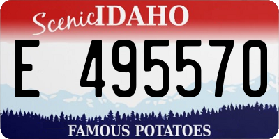 ID license plate E495570