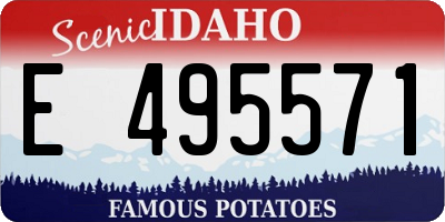 ID license plate E495571