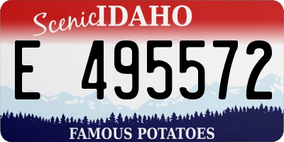 ID license plate E495572