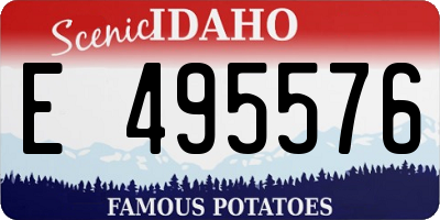ID license plate E495576