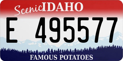 ID license plate E495577