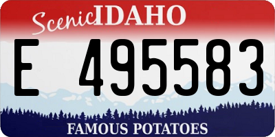 ID license plate E495583