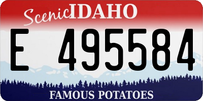 ID license plate E495584