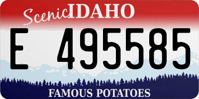 ID license plate E495585