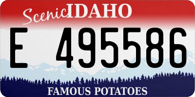 ID license plate E495586