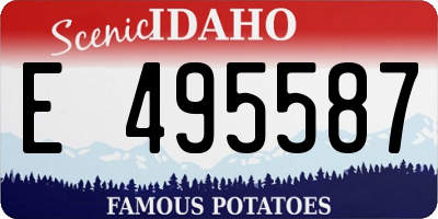 ID license plate E495587