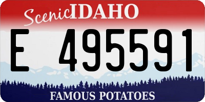 ID license plate E495591