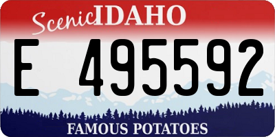 ID license plate E495592
