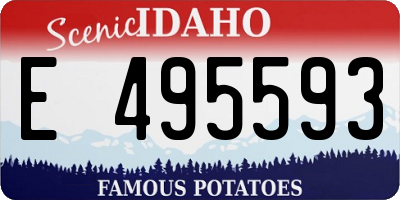 ID license plate E495593