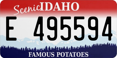 ID license plate E495594