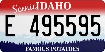 ID license plate E495595
