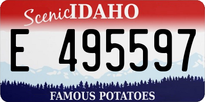 ID license plate E495597