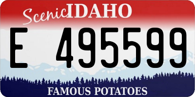 ID license plate E495599