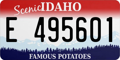 ID license plate E495601