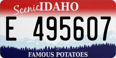 ID license plate E495607