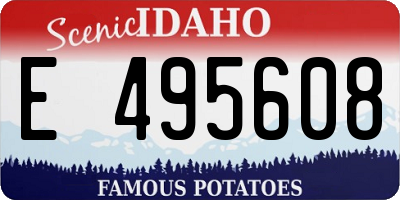 ID license plate E495608
