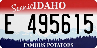 ID license plate E495615