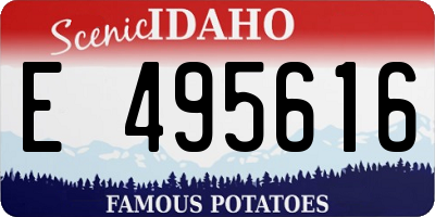 ID license plate E495616