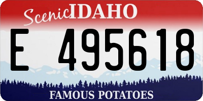 ID license plate E495618