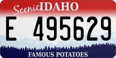 ID license plate E495629