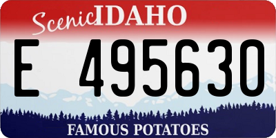 ID license plate E495630