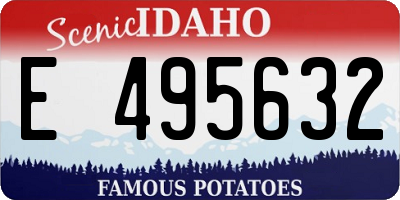 ID license plate E495632