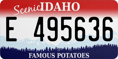 ID license plate E495636