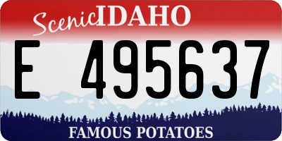 ID license plate E495637
