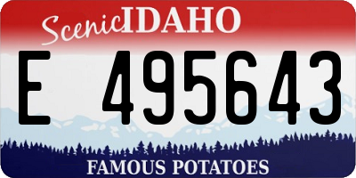 ID license plate E495643