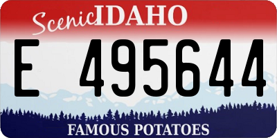 ID license plate E495644
