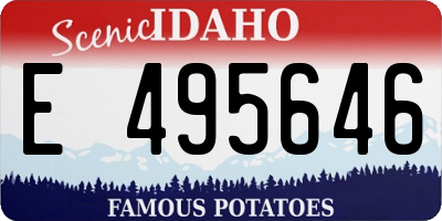 ID license plate E495646