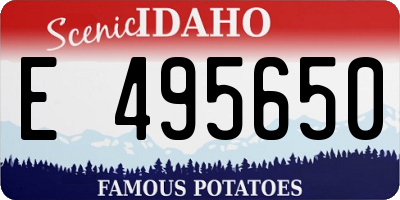 ID license plate E495650