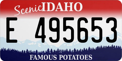 ID license plate E495653