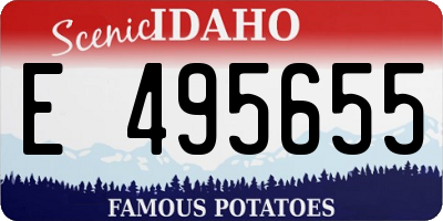 ID license plate E495655