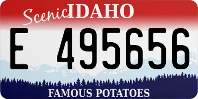 ID license plate E495656