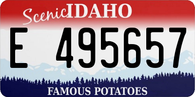 ID license plate E495657