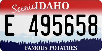 ID license plate E495658