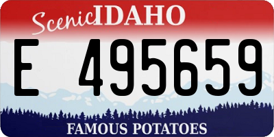 ID license plate E495659