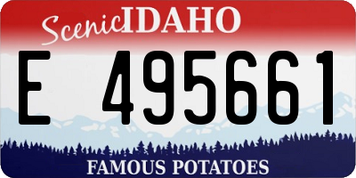 ID license plate E495661