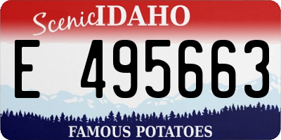 ID license plate E495663