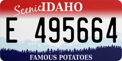 ID license plate E495664